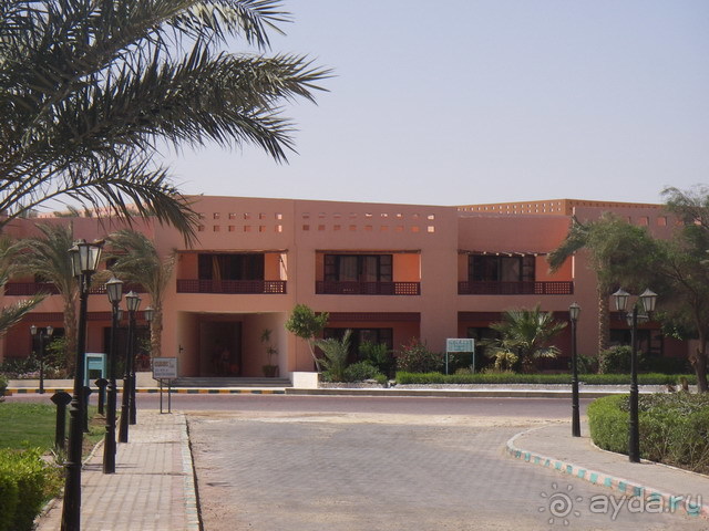 Впервые на машине в Германию с овчаркой: Киркхайм и Рикельсхайм Впервые на машине в Германию с овчаркой: Киркхайм и Рикельсхайм