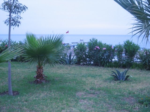 фото Concordia Celes Hotel