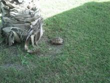 Оптимальное соотношение "Цена/Качество"