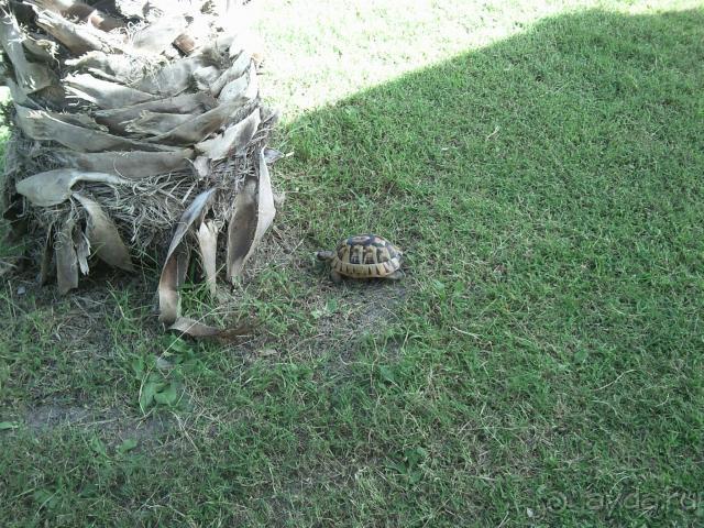 фото Creta Maris Beach Resort