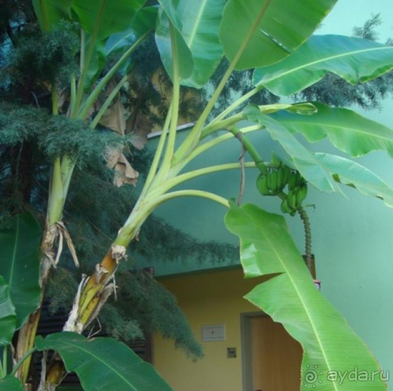 фото Creta Maris Beach Resort