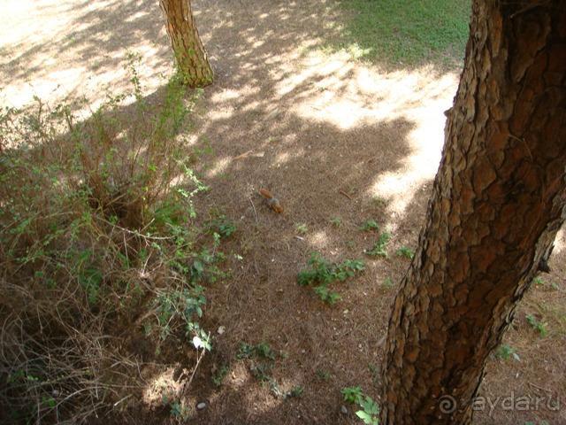 фото Creta Maris Beach Resort