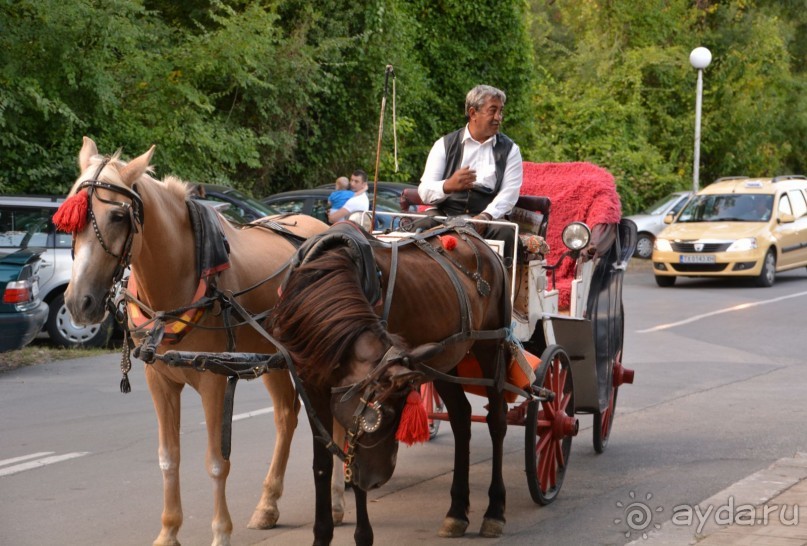 Идеальный пляжный вариант