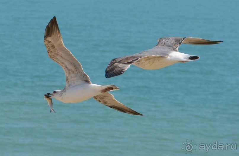 Идеальный пляжный вариант