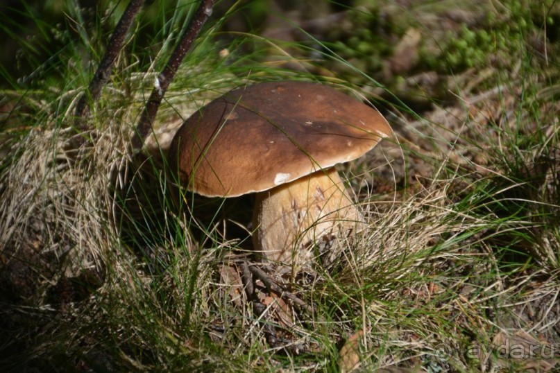 Ближайший отель по ту сторону границы