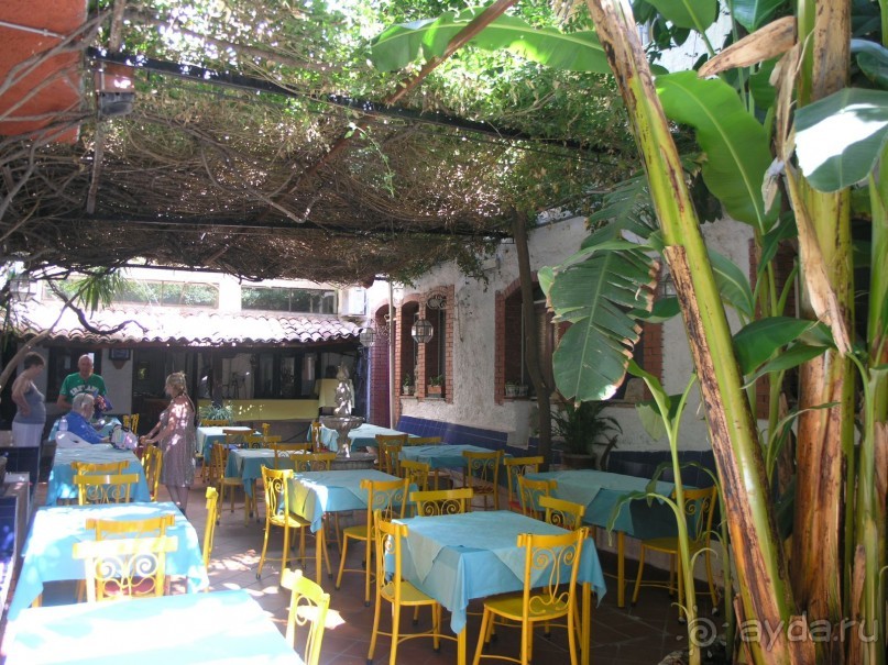 Авторская трешка