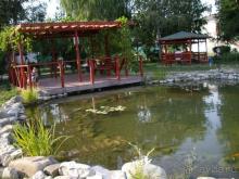 Пруд с рыбками