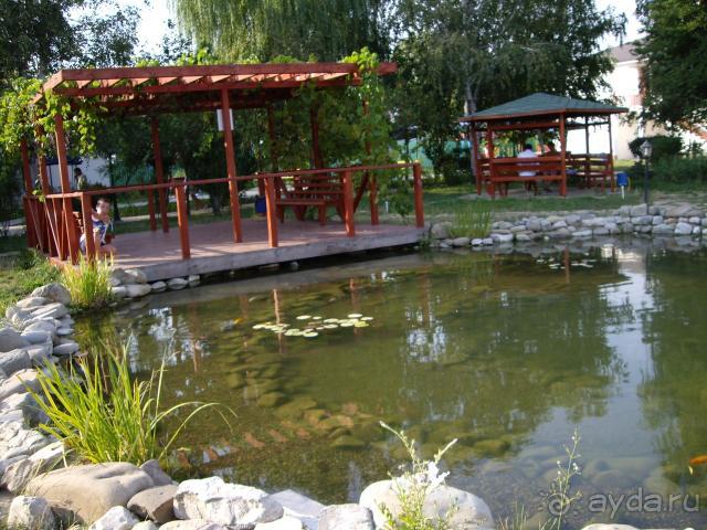 Пруд с рыбками Пруд с рыбками