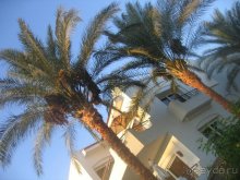 фото Iberotel Palace