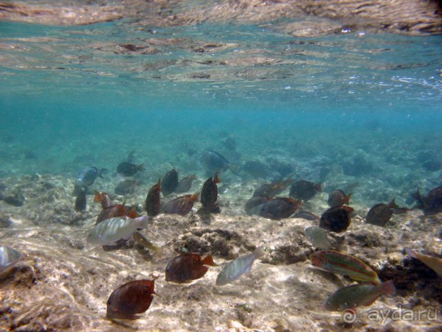 фото Nubian Village Aqua Hotel