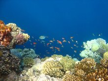 фото Nubian Village Aqua Hotel