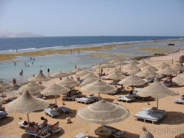 Впервые на машине в Германию с овчаркой: Наш дебют на Зигере в Карлсруэ