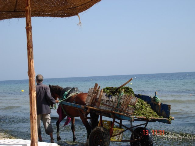 фото Caribbean World Monastir