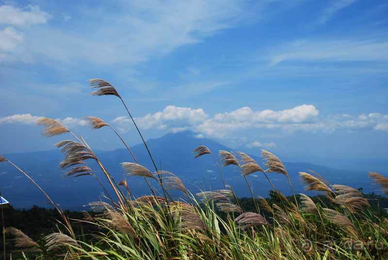 Остров тропической орхидеи или путешествие на Сулавеси.