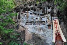 Остров тропической орхидеи или путешествие на Сулавеси.