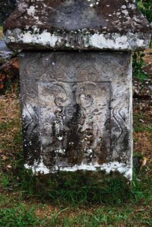 Остров тропической орхидеи или путешествие на Сулавеси.