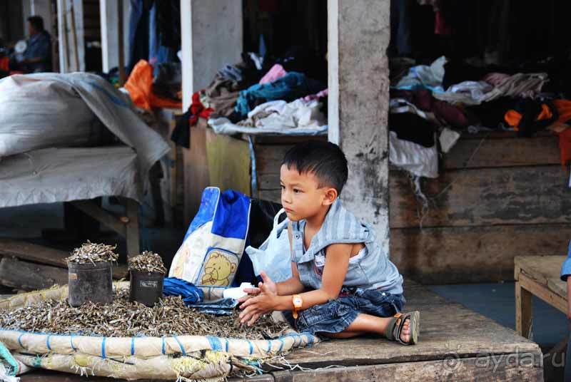 Остров тропической орхидеи или путешествие на Сулавеси.