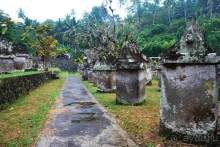 Остров тропической орхидеи или путешествие на Сулавеси.