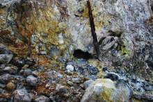 Остров тропической орхидеи или путешествие на Сулавеси.