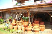 Остров тропической орхидеи или путешествие на Сулавеси.