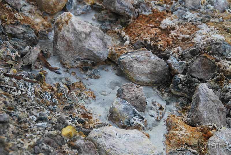 Остров тропической орхидеи или путешествие на Сулавеси.