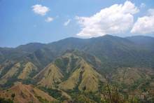 Остров тропической орхидеи или путешествие на Сулавеси.