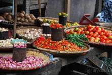 Остров тропической орхидеи или путешествие на Сулавеси.