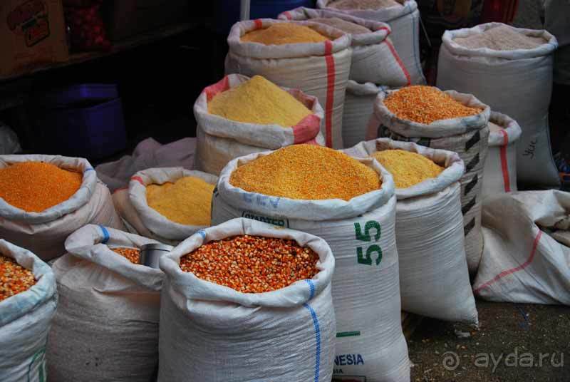 Остров тропической орхидеи или путешествие на Сулавеси.