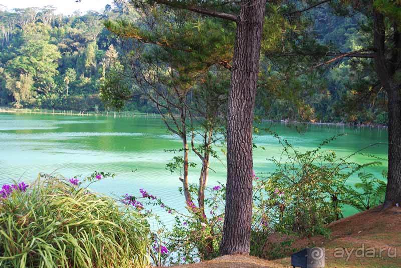 Остров тропической орхидеи или путешествие на Сулавеси.