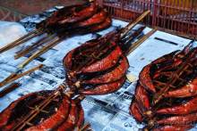 Остров тропической орхидеи или путешествие на Сулавеси.