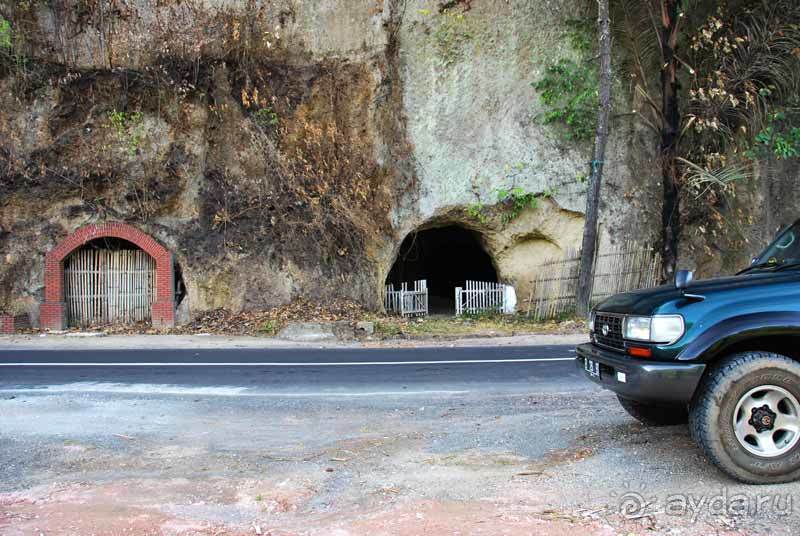 Остров тропической орхидеи или путешествие на Сулавеси.
