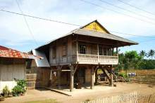 Остров тропической орхидеи или путешествие на Сулавеси.