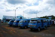 Остров тропической орхидеи или путешествие на Сулавеси.