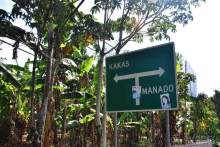 Остров тропической орхидеи или путешествие на Сулавеси.