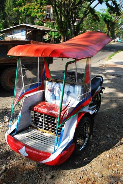 Остров тропической орхидеи или путешествие на Сулавеси.