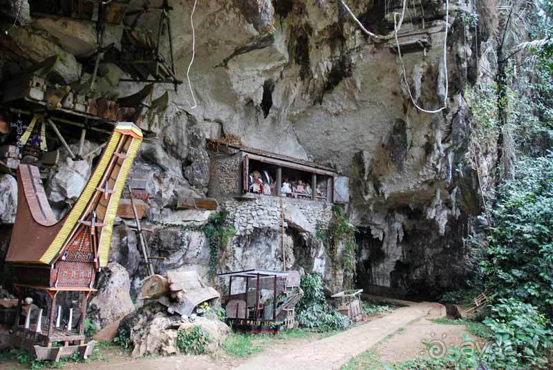 Остров тропической орхидеи или путешествие на Сулавеси.