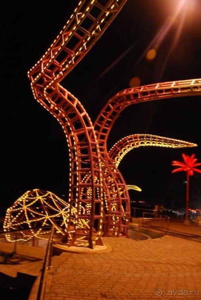 Остров тропической орхидеи или путешествие на Сулавеси.