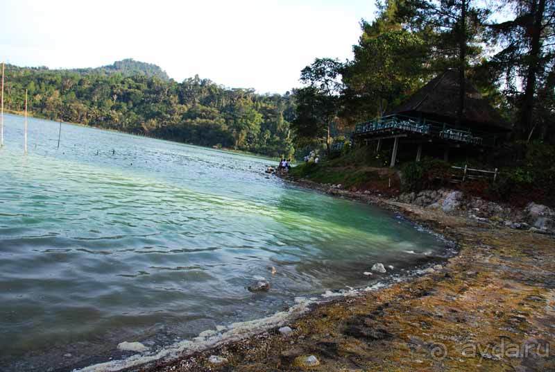 Остров тропической орхидеи или путешествие на Сулавеси.