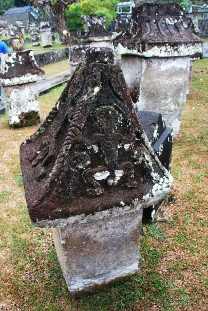 Остров тропической орхидеи или путешествие на Сулавеси.