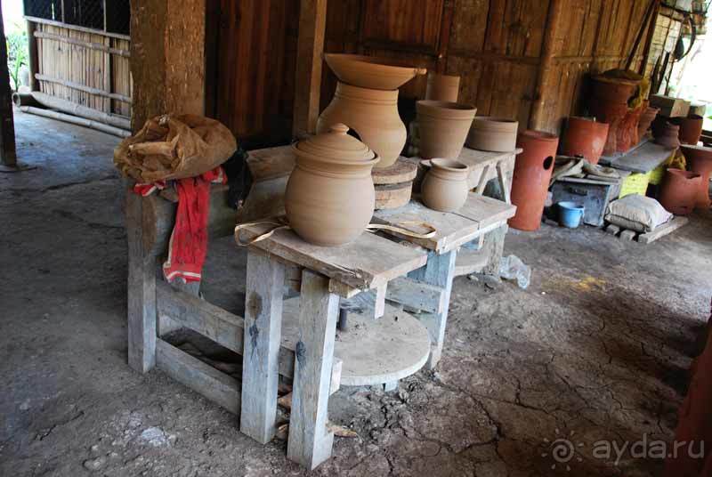 Остров тропической орхидеи или путешествие на Сулавеси.