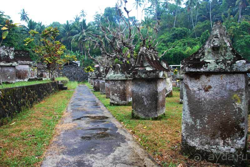 Остров тропической орхидеи или путешествие на Сулавеси.
