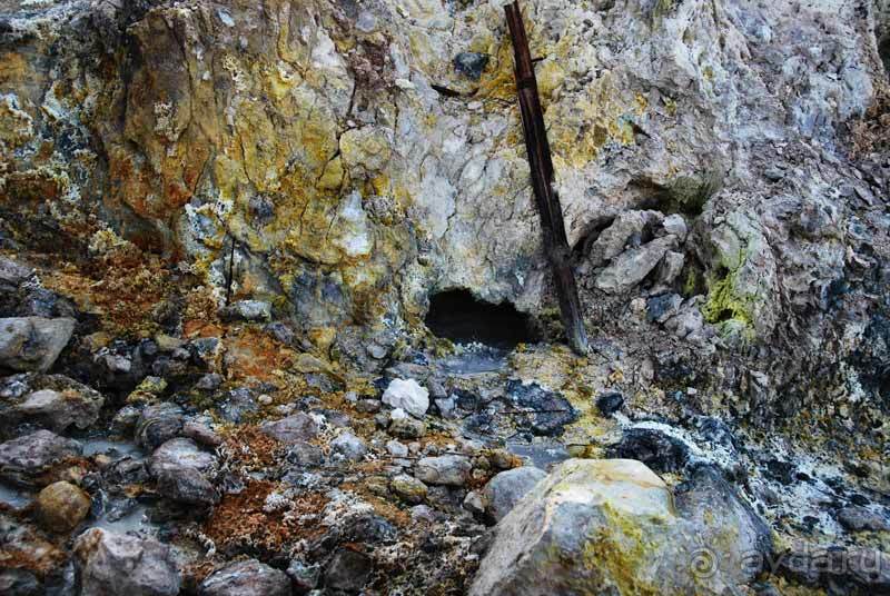 Остров тропической орхидеи или путешествие на Сулавеси.