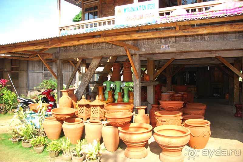 Остров тропической орхидеи или путешествие на Сулавеси.