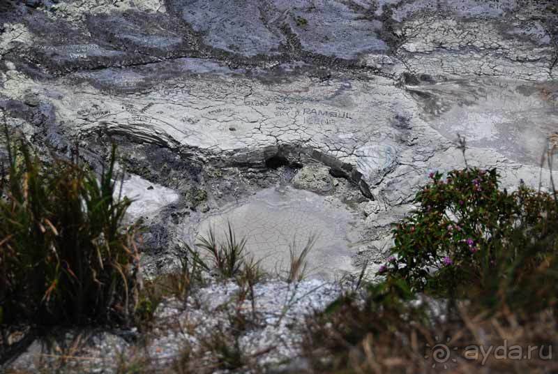 фото Сулавеси