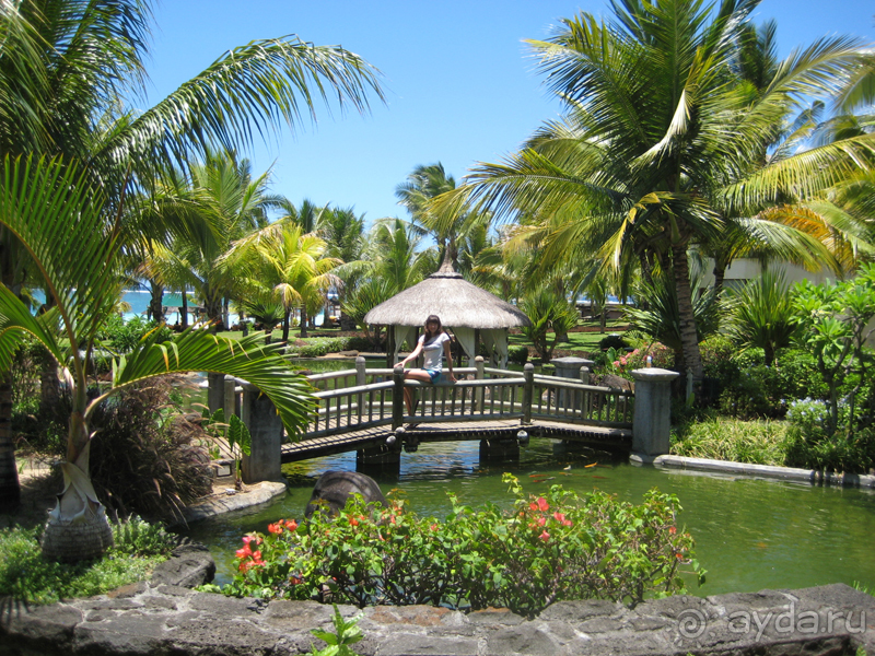 Маврикий. Свадьба и отдых в отеле Beau Rivage. Часть 1. Отзыв