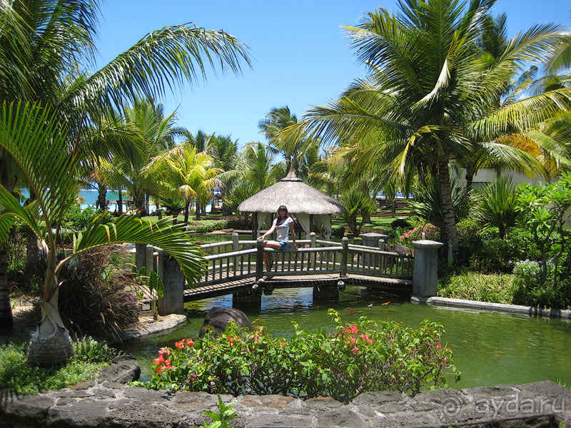 Маврикий. Свадьба и отдых в отеле Beau Rivage. Часть 3. Отель