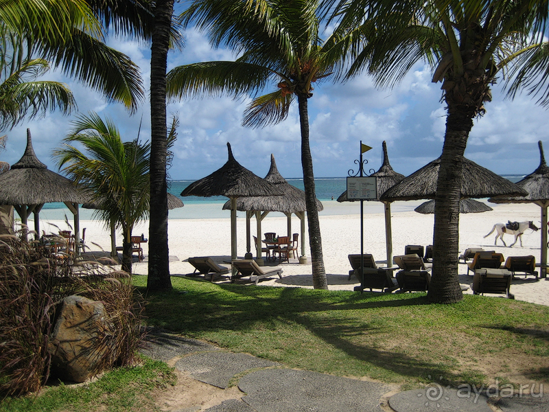 Маврикий. Свадьба и отдых в отеле Beau Rivage. Часть 3. Отель