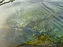 Разочарование от отеля