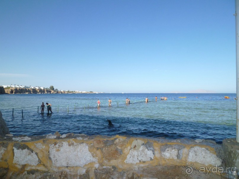 Разочарование от отеля