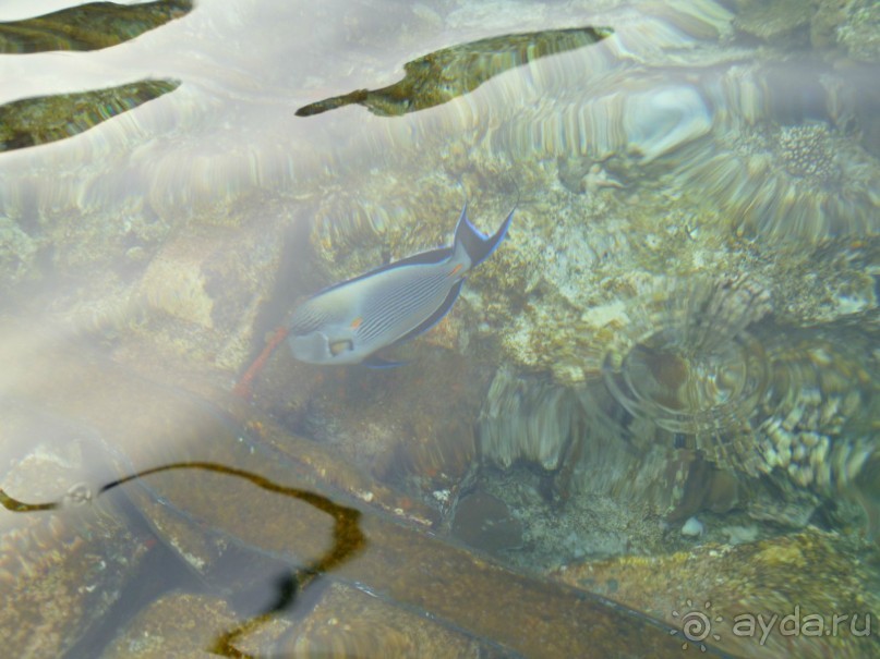 Разочарование от отеля